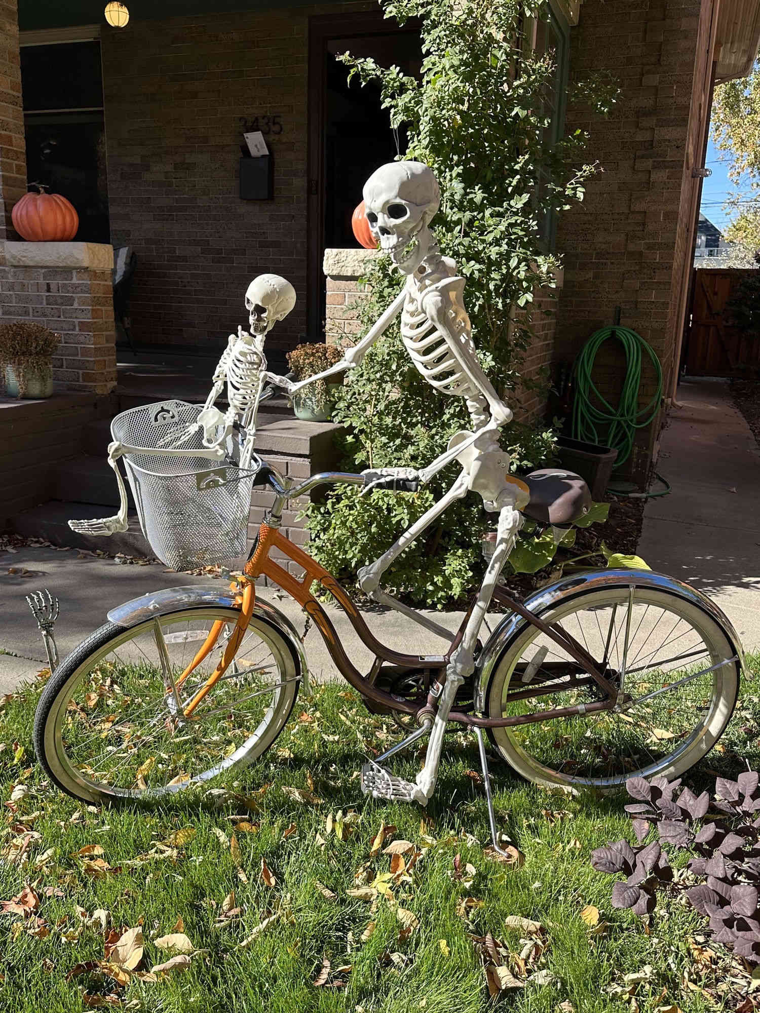 Two skeletons riding a bicycle in front of the house at 3435 Alcott St